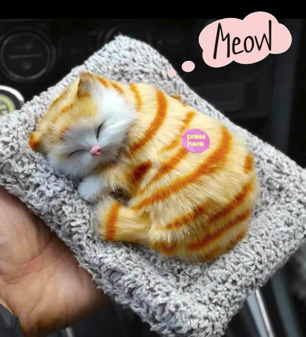 Minderde Uyuyan Sevimli Peluş Kedi - Sesli Kawai Cat